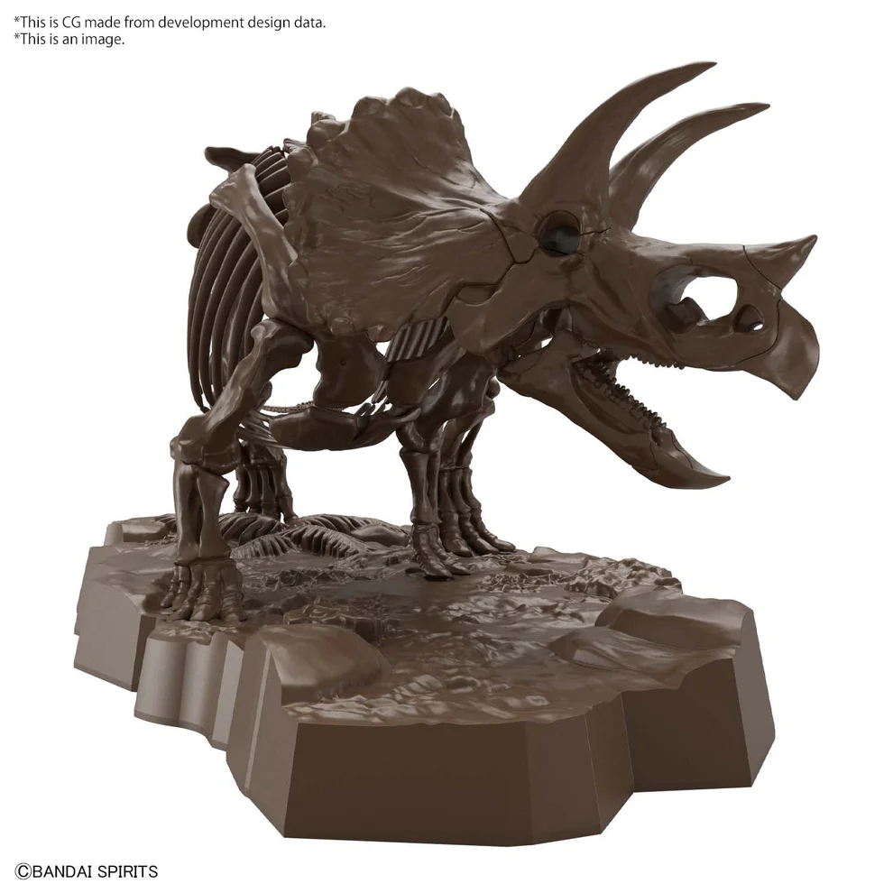 Bandai Store Triceratops