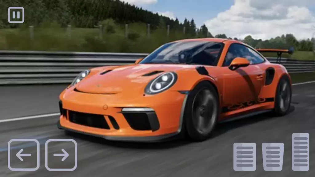 Racing Porsche Carrera 911 GT3 Capture d'écran 0