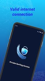 Private VPN - Surf Access स्क्रीनशॉट 0