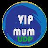 VIP MUM UDP VPN