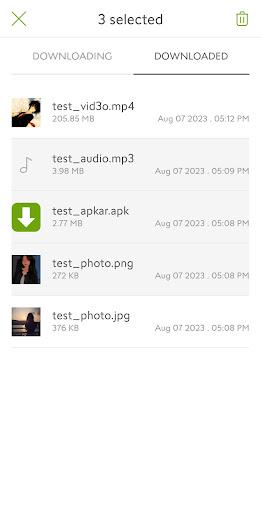 Download Manager For Android應用截圖第0張