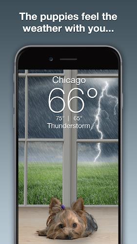 Weather Puppy - App & Widget Capture d'écran 1