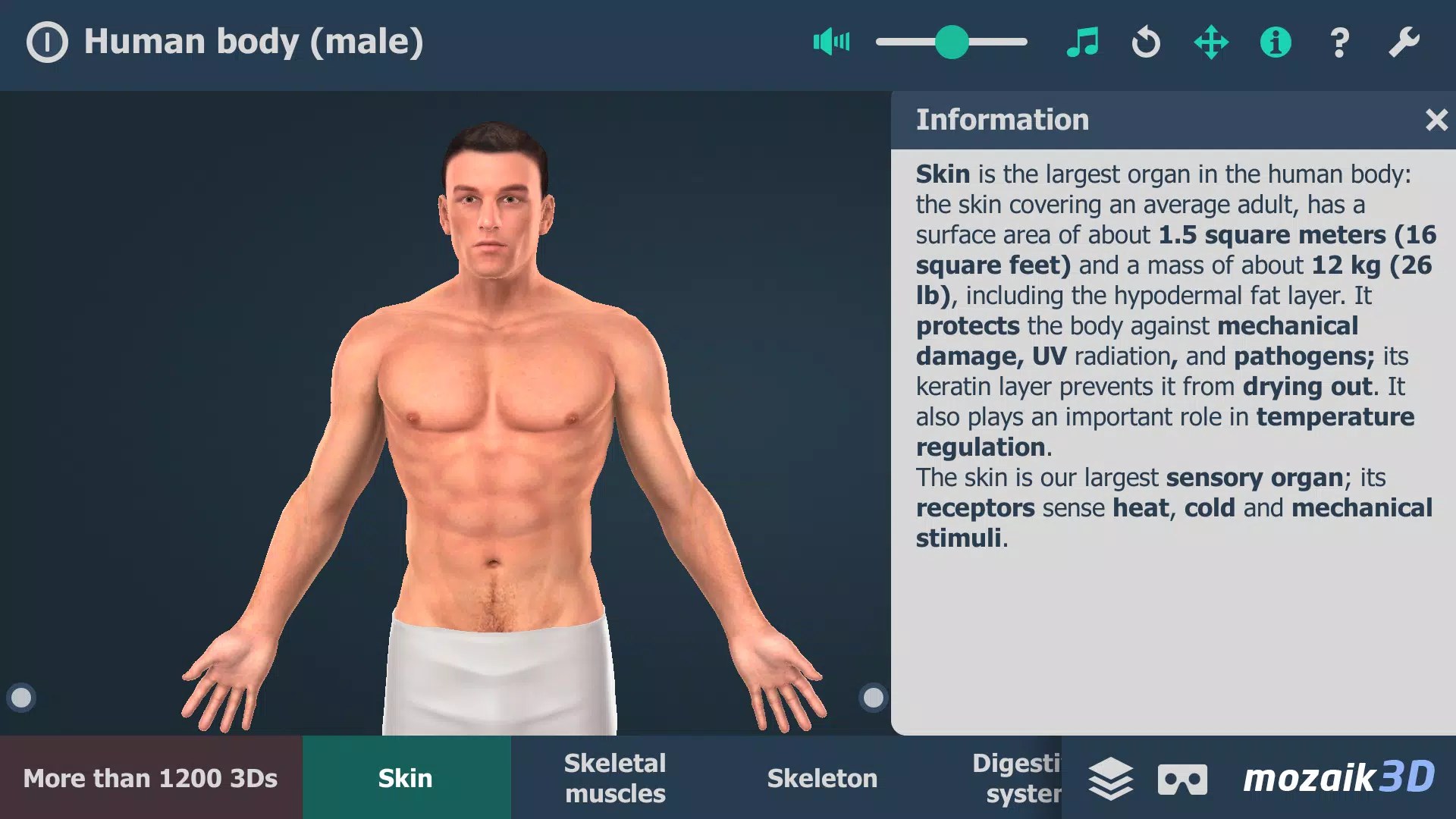 Human body (male) 3D scene Screenshot 0