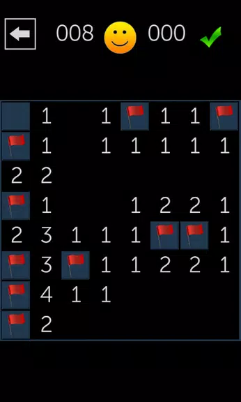 Minesweeper Fun Screenshot 0