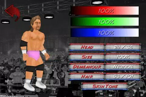 Wrestling Revolution Capture d'écran 1