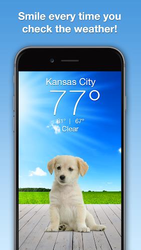 Weather Puppy - App & Widget Capture d'écran 0