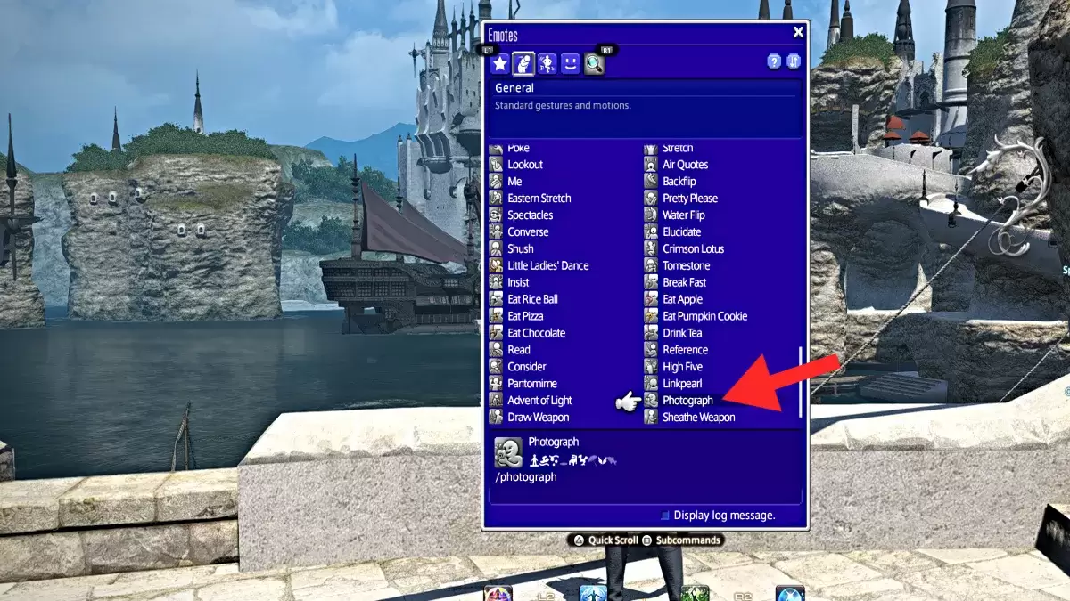 写真のスクリーンショットffxivでエモートします