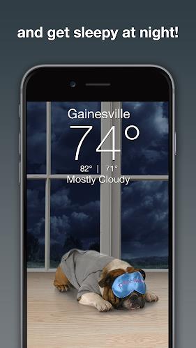 Weather Puppy - App & Widget Capture d'écran 2