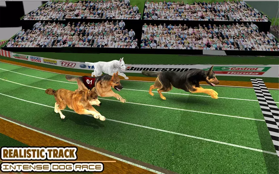 Dog racing games - dog game 3d Schermafbeelding 0