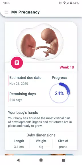 My Pregnancy - Week by Week Schermafbeelding 0