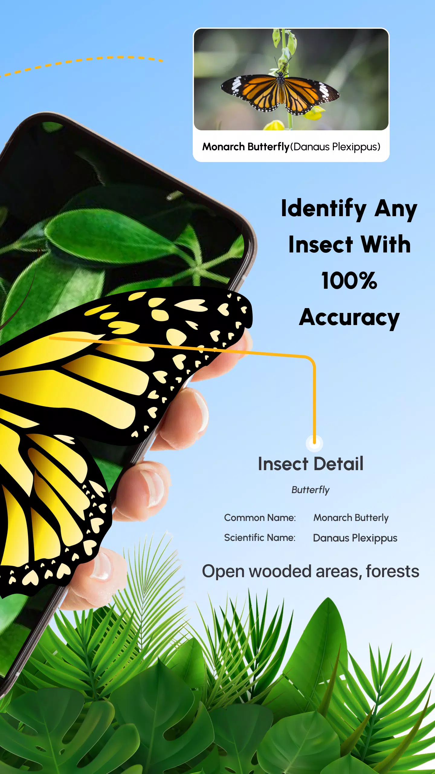 Insect Identifier Bug Identify Screenshot 1