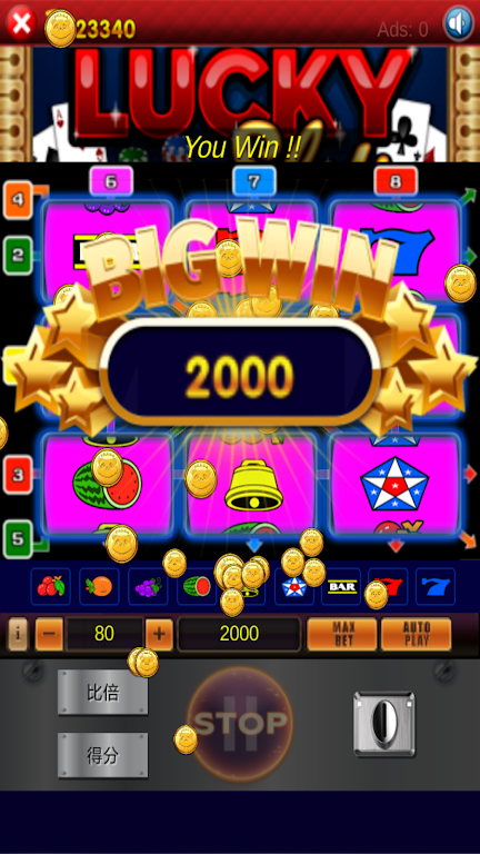 Fruit Slot Machine Casino Ekran Görüntüsü 0