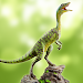 Compsognathus Simulator