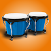 Congas & Bongos: percussion