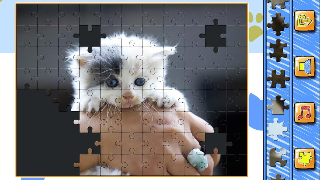 Jigsaw Puzzle Cats Kitten