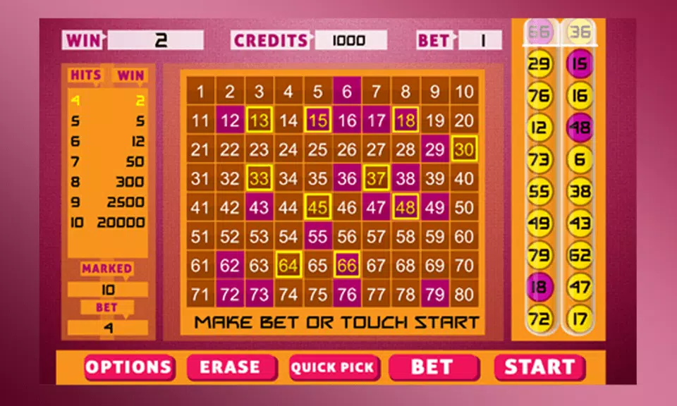 Keno Bingo Screenshot 1