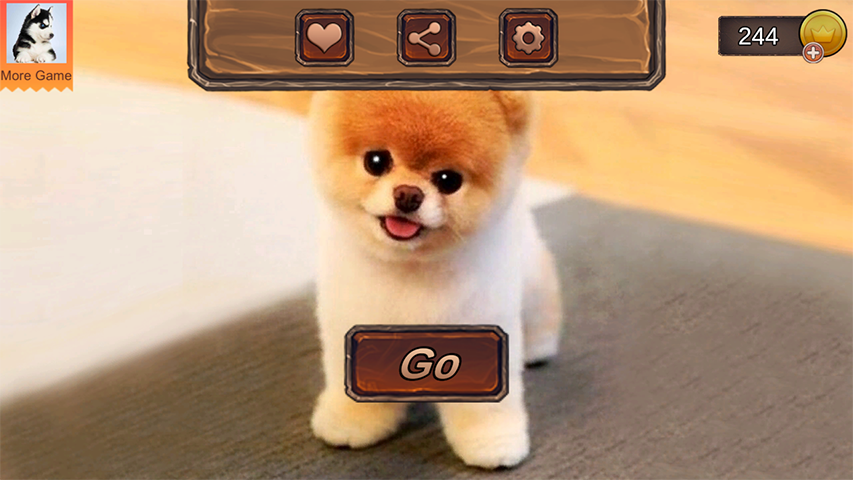 Pomeranian Dog Simulator Screenshot 0