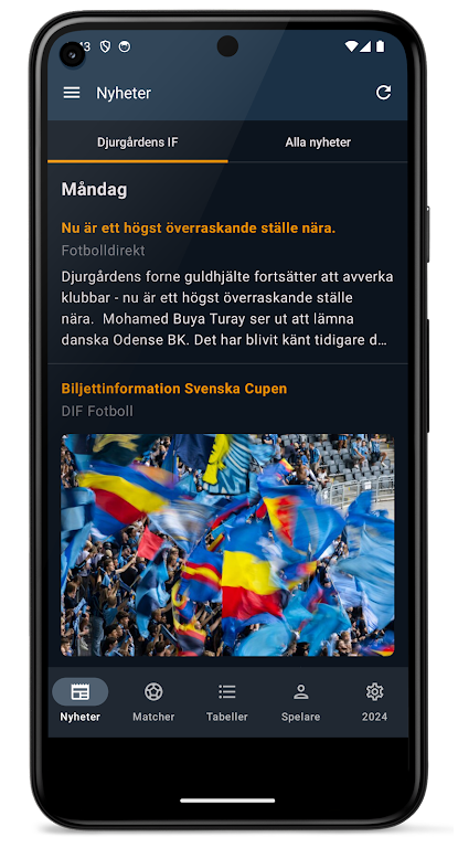 Allsvenskan 2024 Captura de pantalla 0