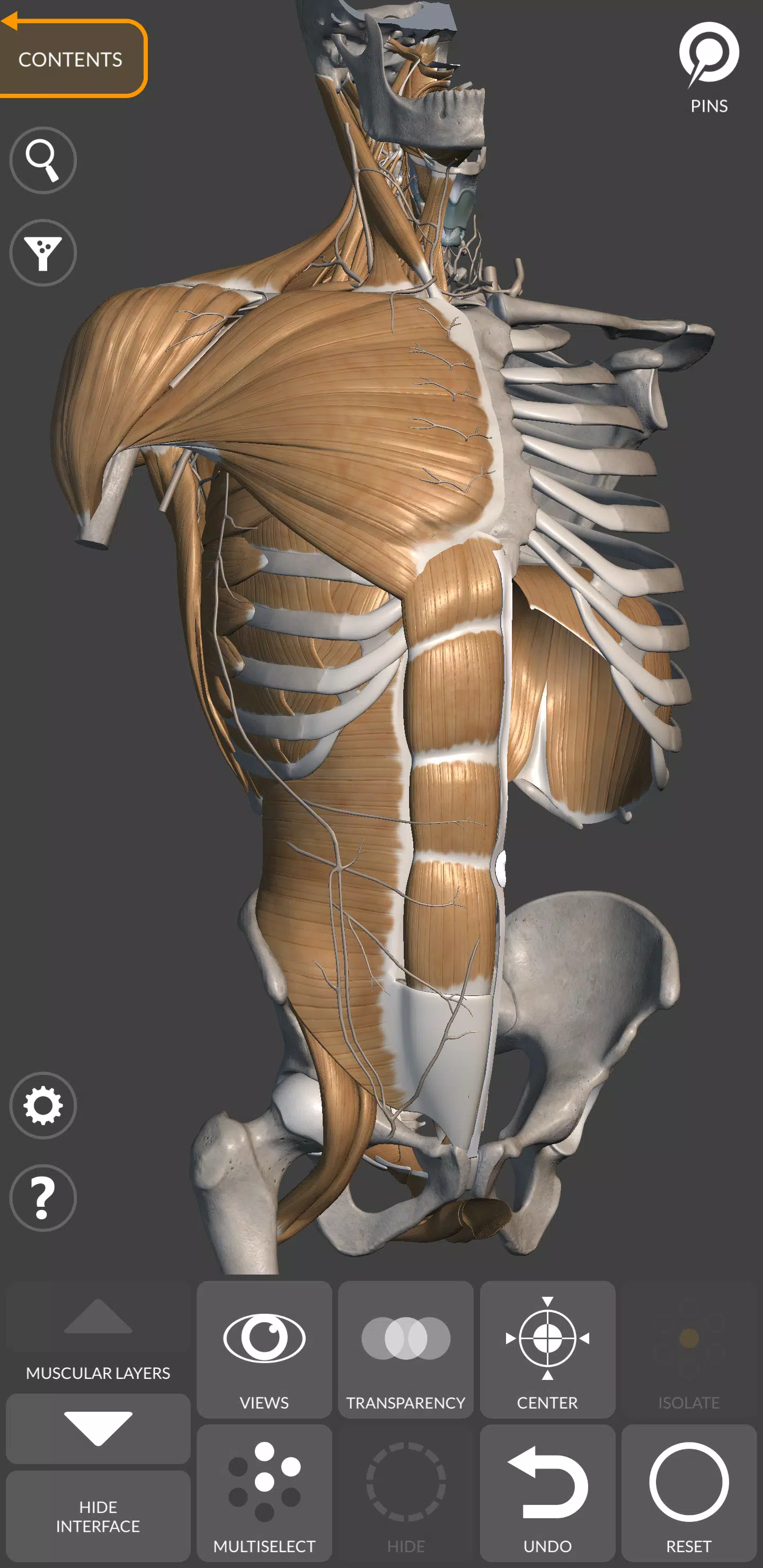 3D Anatomy for the Artist應用截圖第1張