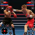 Real Punch Boxing Games 3d