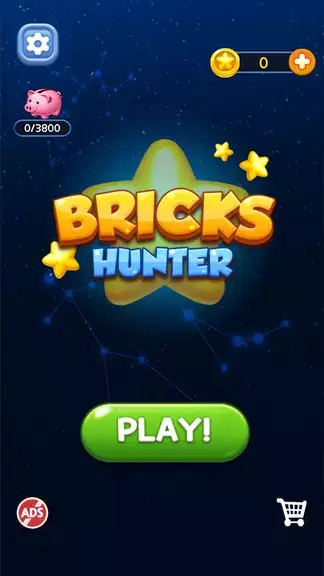 Bricks Hunter : Cube Puzzle Capture d'écran 0