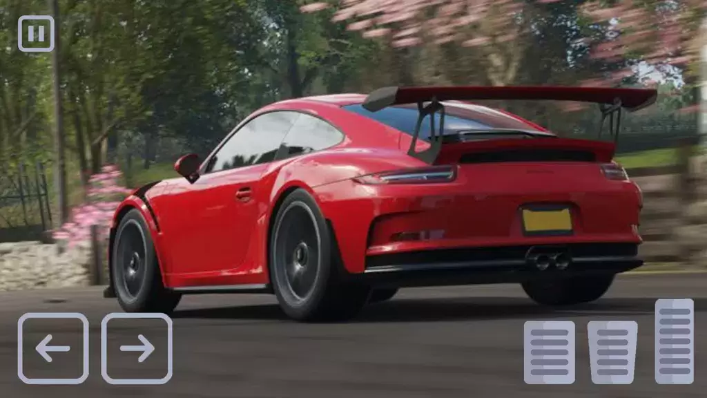 Racing Porsche Carrera 911 GT3 Capture d'écran 3