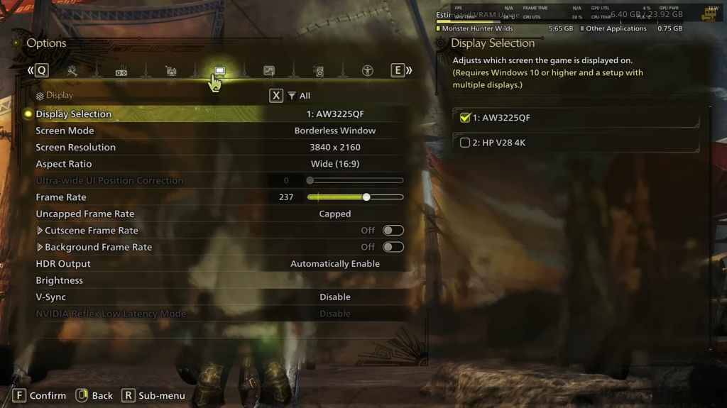 screenshot of Display Settings in Monster Hunter Wilds