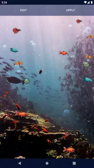 Ocean Fish Live Wallpaper 4K Schermafbeelding 3