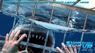 Swim Sharks Cage VR Simulator Скриншот 1