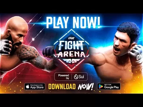 One Fight Arena游戏实机画面