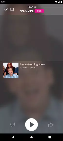 99.5 ZPL Screenshot 1